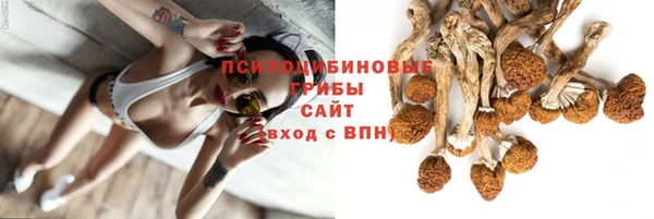 гидра Ханты-Мансийск