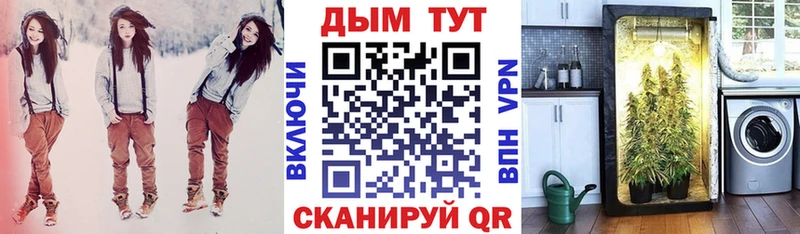 Конопля план  Петрозаводск 
